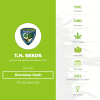 Burmese Kush (T.H. Seeds) - The Cannabis Seedbank