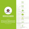 Chronic - Feminised- Serious Seeds - Characteristics