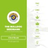 Citral Skunk (The Bulldog Seedbank) - The Cannabis Seedbank