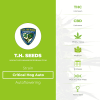Critical Hog Auto (T.H. Seeds) - The Cannabis Seedbank