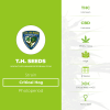 Critical Hog (T.H. Seeds) - The Cannabis Seedbank