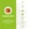 Critical Kush Feminised Barney's Farm Seeds - Characteristics