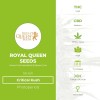 Critical Kush (Royal Queen Seeds) - The Cannabis Seedbank