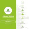 Critical Sour (Female Seeds) - The Cannabis Seedbank