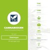 Destroyer (Cannabiogen) - The Cannabis Seedbank