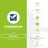 Destroyer Regular (Cannabiogen) - The Cannabis Seedbank