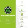 Kuchi (Devils Harvest Seeds) - The Cannabis Seedbank