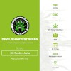OG Reek'n Auto (Devils Harvest Seeds) - The Cannabis Seedbank