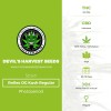 Rollex OG Kush Regular (Devils Harvest Seeds) - The Cannabis Seedbank