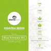 Dinamed CBD Feminised (Dinafem Seeds) - Characteristics