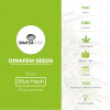 Blue Hash Feminised Dinafem Seeds - Characteristics