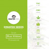 Blue Widow Feminised Dinafem Seeds - Characteristics