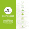 Bubba Kush Autoflowering Feminised Dinafem Seeds - Characteristics