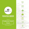 California Hash Plant Feminised Dinafem Seeds - Characteristics