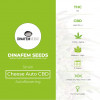 Cheese Auto CBD Feminised Dinafem Seeds - Characteristics