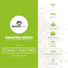 Critical + Auto CBD Feminised Dinafem Seeds - Characteristics