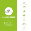 Critical + Feminised Dinafem Seeds - Characteristics