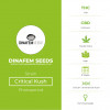 Critical Kush Feminised Dinafem Seeds - Characteristics