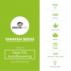 Haze XXL Autoflowering Feminised Dinafem Seeds - Characteristics