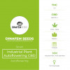 Industrial Plant Autoflowering CBD Feminised Dinafem Seeds - Characteristics