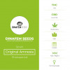 Original Amnesia Feminised Dinafem Seeds - Characteristics