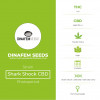 Shark Shock CBD Feminised Dinafem Seeds - Characteristics