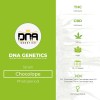 Chocolope (DNA Genetics) - The Cannabis Seedbank
