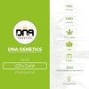 DJ's Gold (DNA Genetics) - The Cannabis Seedbank