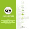 Lemon Skunk (DNA Genetics) - The Cannabis Seedbank
