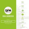 Nicole Kush (DNA Genetics) - The Cannabis Seedbank
