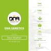 Sour Kosher (DNA Genetics) - The Cannabis Seedbank