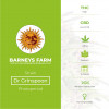 Dr Grinspoon Feminised Barney's Farm Seeds - Characteristics