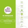 American Beauty (Dr Underground) - The Cannabis Seedbank