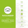 Auto Blueberry - Autoflowering - Dutch Passion - Characteristics