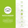 Auto Euforia - Autoflowering - Dutch Passion - Characteristics