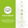 Auto Frisian Dew - Autoflowering - Dutch Passion - Characteristics