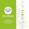Snow Bud - Feminised Cannabis Seeds - Dutch Passion - Characteristics