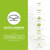 Auto StarRyder - Autoflowering - Dutch Passion - Characteristics