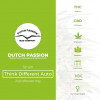 Auto Think Different - Autoflowering - Dutch Passion - Characteristics