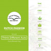 Auto Think Different - Autoflowering - Dutch Passion - Characteristics