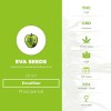 Excalibur (Eva Seeds) - The Cannabis Seedbank