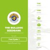 Fast Ryder 1 (The Bulldog Seedbank) - The Cannabis Seedbank