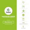 Blackberry Autoflowering Feminised FastBuds Seeds - Characteristics