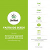 Crystal METH Autoflowering Feminised FastBuds Seeds - Characteristics