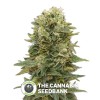 Female Mix (00 Seeds) - The Cannabis Seedbank