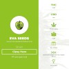 Gipsy Haze (Eva Seeds) - The Cannabis Seedbank