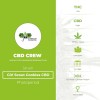 Girl Scout Cookies CBD (CBD Crew) - The Cannabis Seedbank