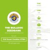 Girl Scout Cookies XTRM (The Bulldog Seedbank) - The Cannabis Seedbank