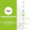 Great White Shark (Greenhouse Seed Co.) - The Cannabis Seedbank