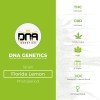 Florida Lemons (GYO) (DNA Genetics) - The Cannabis Seedbank